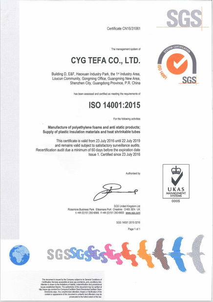Chine Cyg Tefa Co., Ltd. Certifications